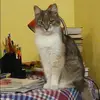 Отзыв от Инесса Малахова